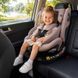 Bugs Axis 360&deg; Stone Brown &ndash; i-Size, ISOFIX, 0&ndash;36 кг, поворот 360&deg;